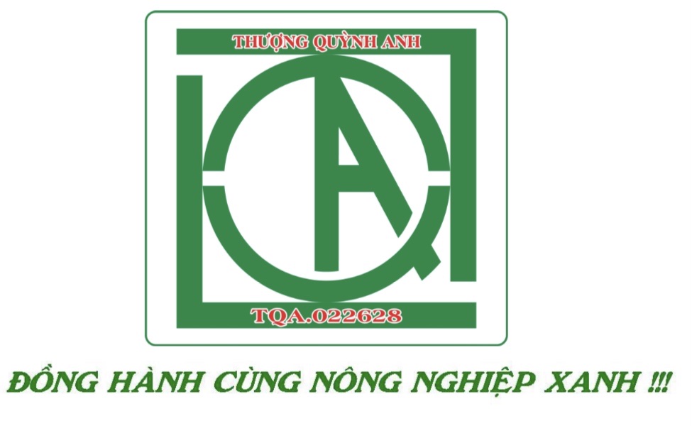 Công ty TNHH Thượng Quỳnh Anh