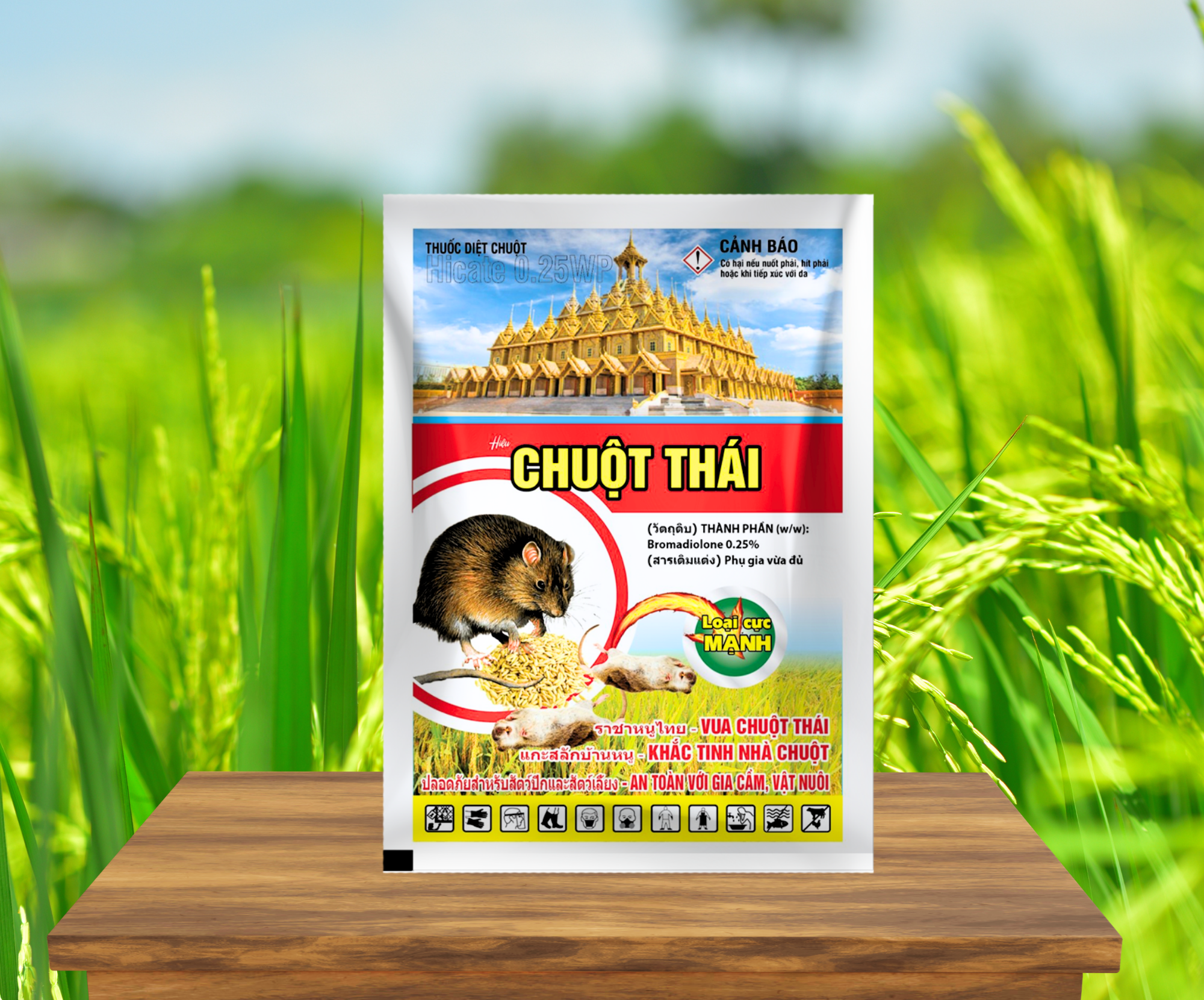 CHUỘT THÁI