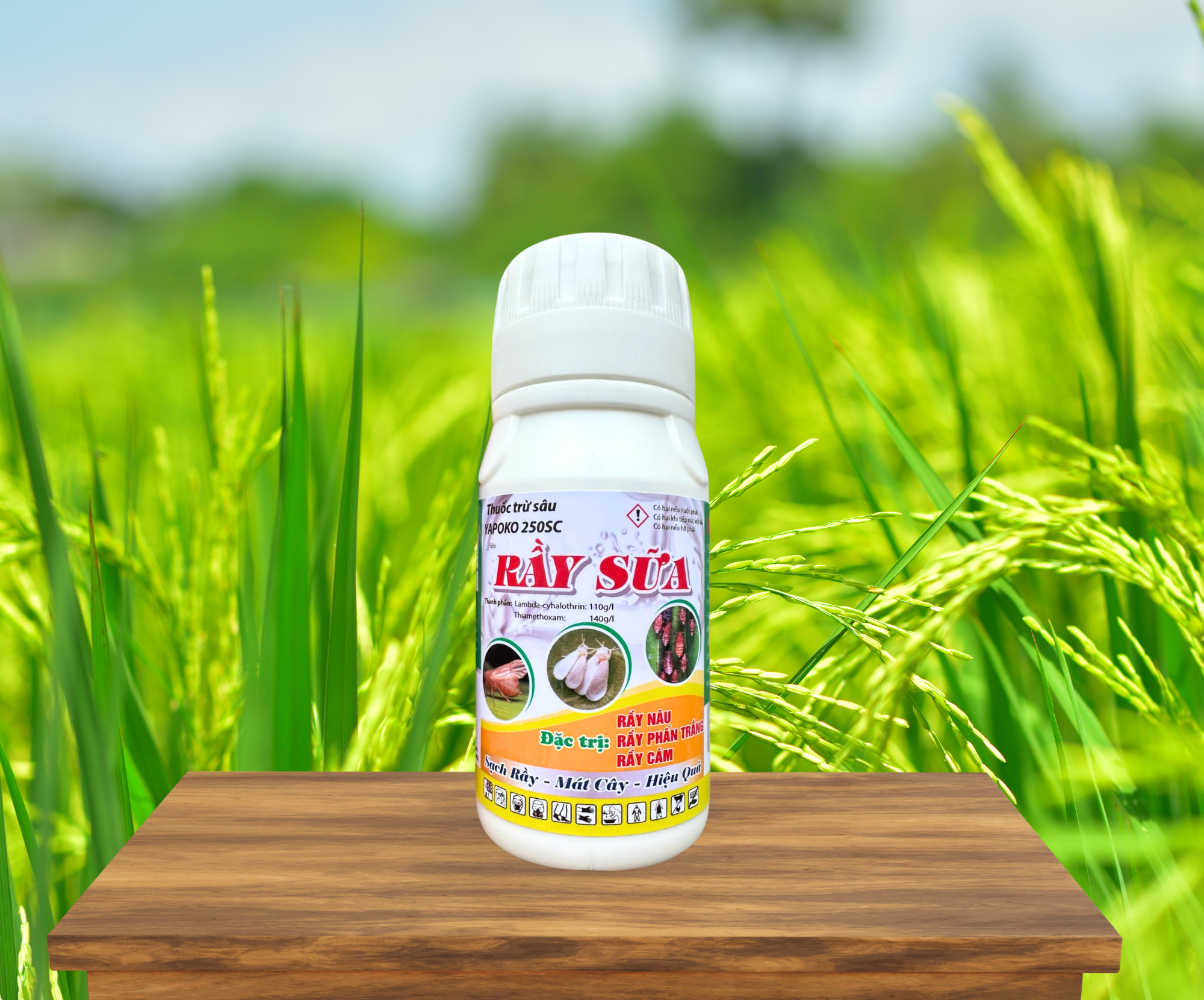 RẦY SỮA