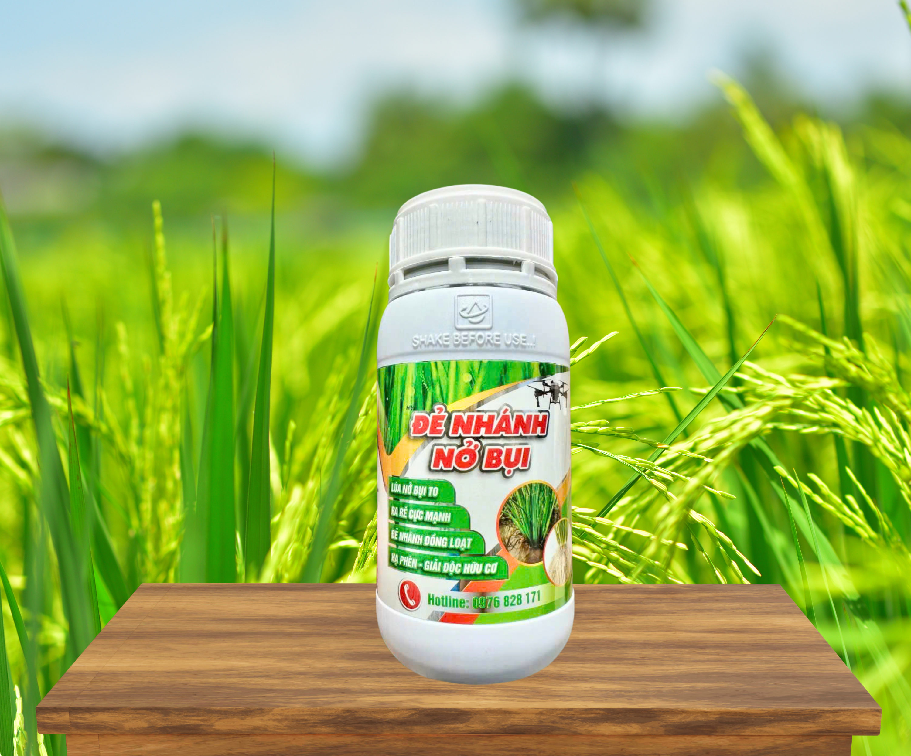 ĐẺ NHÁNH - NỞ BỤI