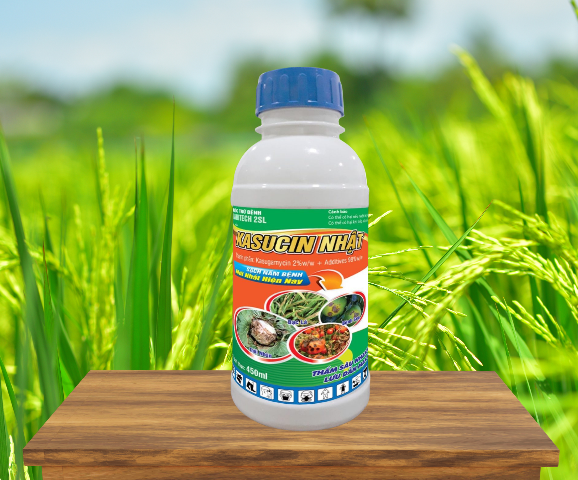 KASUCIN NHẬT