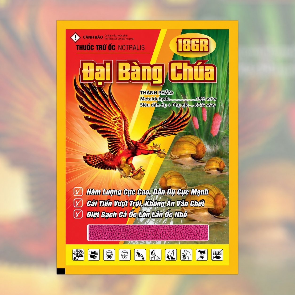 ĐẠI BÀNG CHÚA