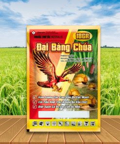 ĐẠI BÀNG CHÚA 18GR