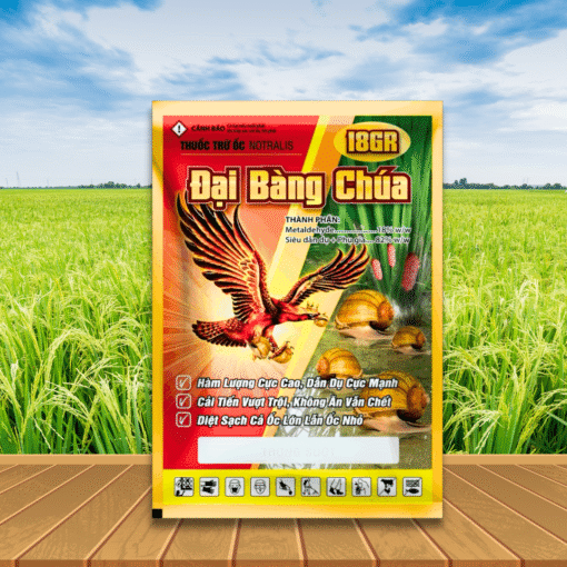 ĐẠI BÀNG CHÚA 18GR