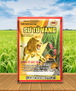 SƯ TỬ VÀNG 15AB