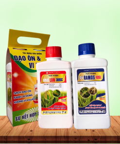 CẶP ĐÔI KHỦNG ĐẠO ÔN - VI KHUẨN