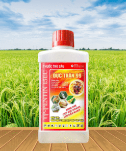ĐỤC THÂN 99 15EC