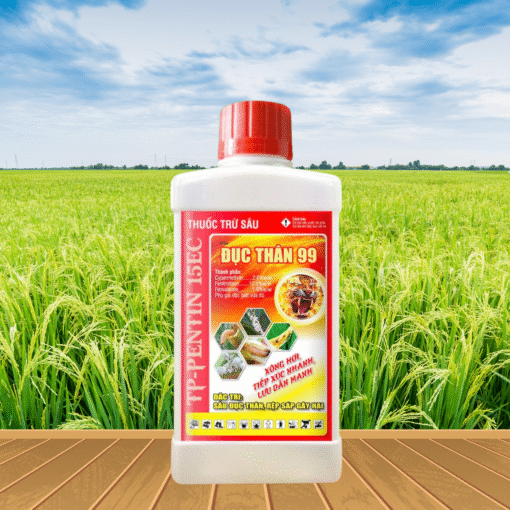 ĐỤC THÂN 99 15EC