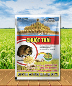 CHUỘT THÁI 0.25WP
