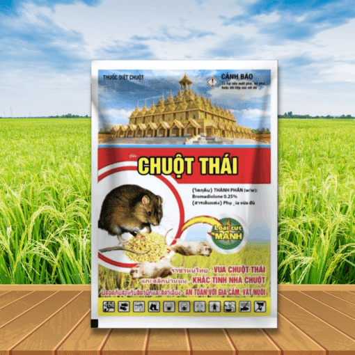 CHUỘT THÁI 0.25WP