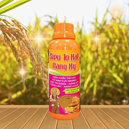 SIÊU TO HẠT NẶNG KÝ - 500ML