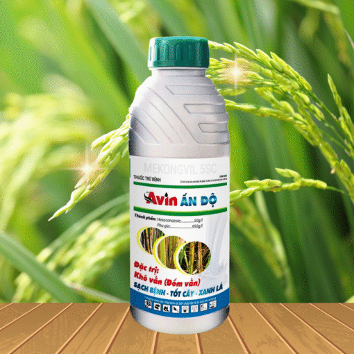 AVIN ẤN ĐỘ 5SC - 1L