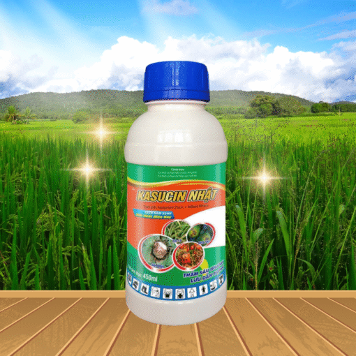 KASUCIN NHẬT - 450ML