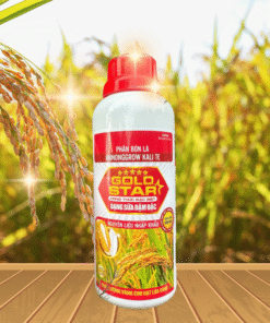 KALI GOLD STAR - 500ML