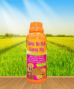 SIÊU TO HẠT NẶNG KÝ - 500ML