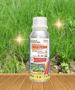 INDIA PERAN 240ML