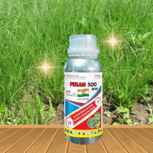 PERAN 500 480ML