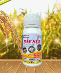 RẦY SỮA 240ML