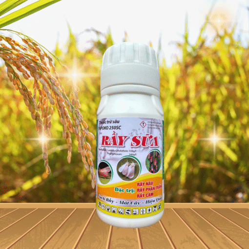 RẦY SỮA 240ML