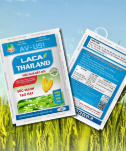 LACA THAILAND 25G