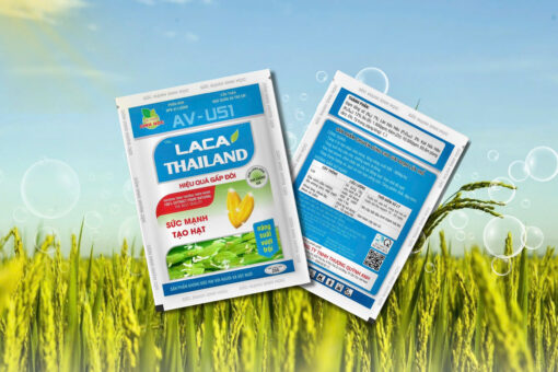 LACA THAILAND 25G