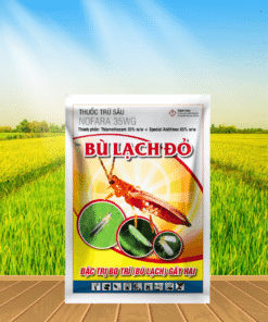 BÙ LẠCH ĐỎ