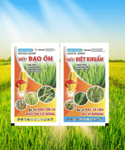 CẶP GÓI SIÊU ĐẠO ÔN - DIỆT KHUẨN - 25GR