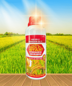 KALI GOLD STAR - 500ML