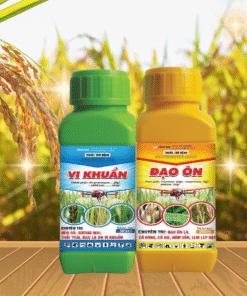 CẶP ĐÔI ĐẠO ÔN - VI KHUẨN 300ML