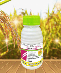 FILLY GOLD 250ML