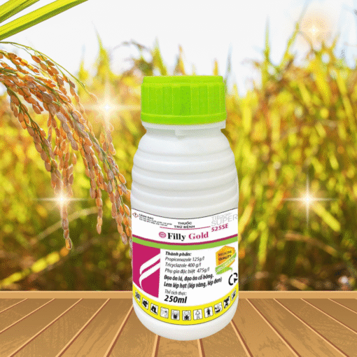 FILLY GOLD 250ML