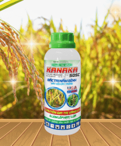 KANAKA 50SC