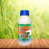 KASUCIN NHẬT - 450ML