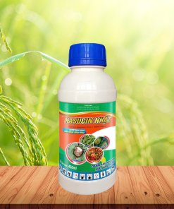 KASUCIN NHẬT - 450ML