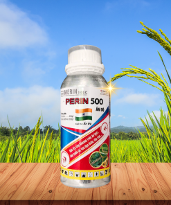 PERAN 500 480ML