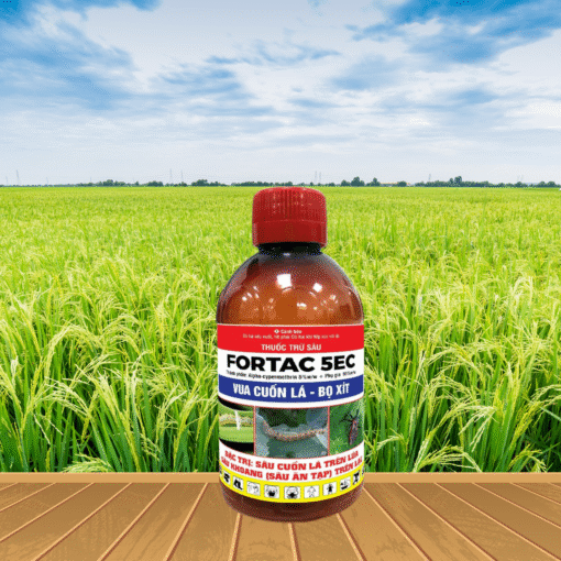 FORTAC 5EC