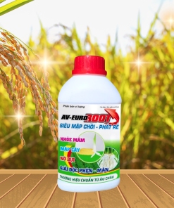 SIÊU MẬP CHỒI PHÁT RỄ - 500ML