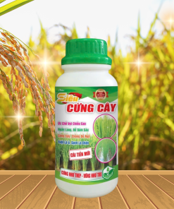 SIÊU CỨNG CÂY