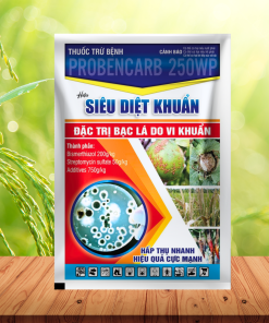 SIÊU DIỆT KHUẨN 250WP - 20GR