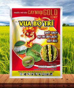 VUA BỌ TRĨ 33WP - 15GR