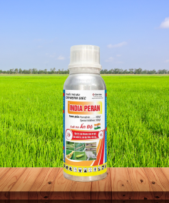 INDIA PERAN 240ML