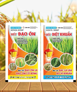 CẶP GÓI SIÊU ĐẠO ÔN - DIỆT KHUẨN - 25GR