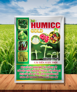 HU.MICC GOLD ( BỘT) - 1KG