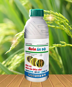 AVIN ẤN ĐỘ 5SC - 1L