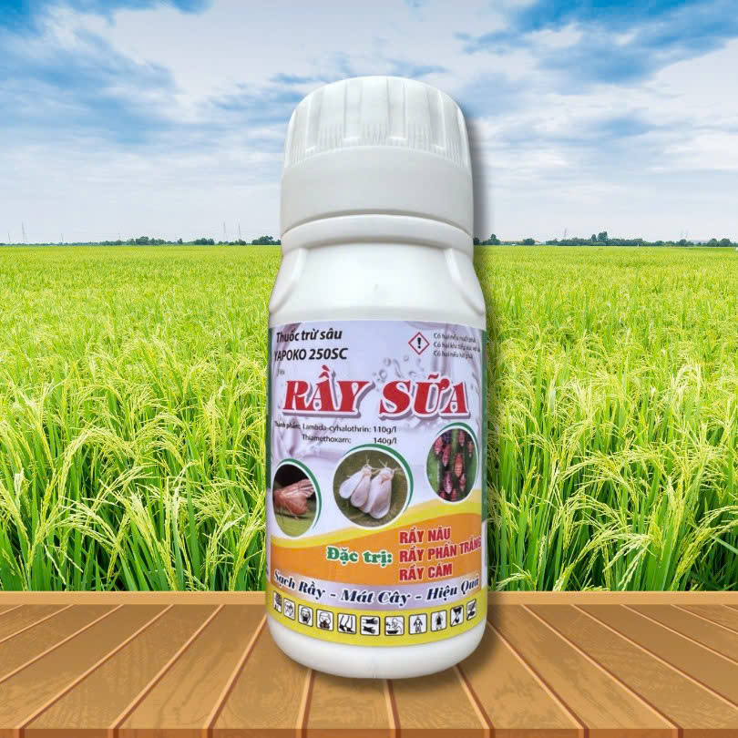 RẦY SỮA 240ML
