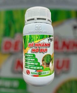 ĐẺ NHÁNH - NỞ BỤI