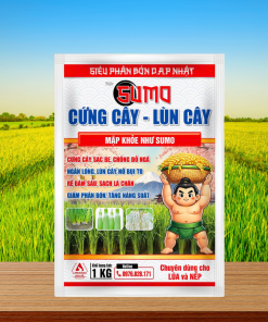SUMO CỨNG CÂY - LÙN CÂY